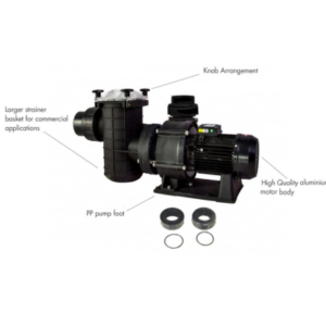 Pumps for commercial pools